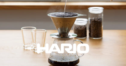 Hario Brewing Coffee Bottle, 700 ml, Mocha