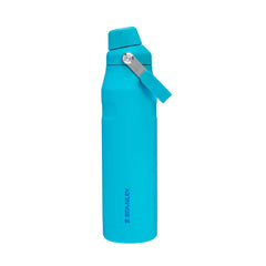 AEROLIGHT ICEFLOW™ BOTTLE WITH FAST FLOW LID
