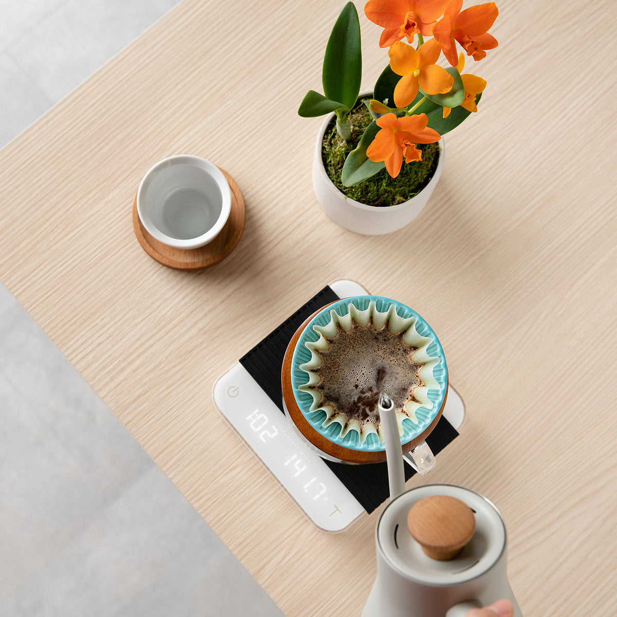  Acaia Pearl Model S Professional-Grade Digital Smart Coffee  Scale - White : Home & Kitchen