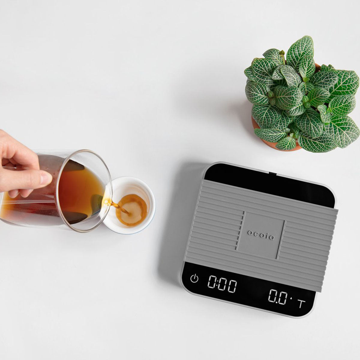 Pearl Coffee Scale 2021